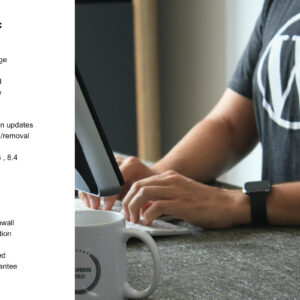 Fully Managed WP Basic