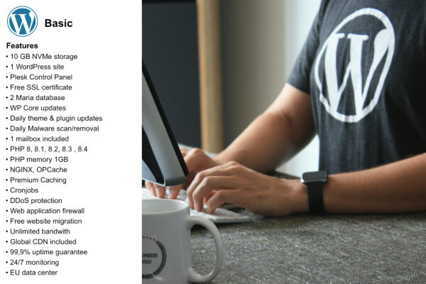 Fully Managed WP Basic